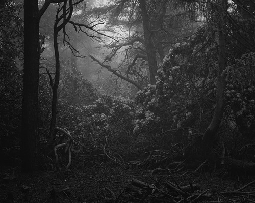 tumblr_inline_nqjqzcnXUY1se9q8s_500