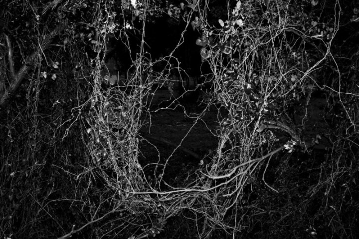 Yurian-Quintanas-Nobel-1-800x533