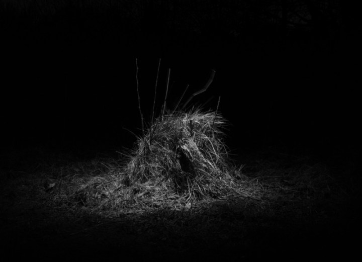 aleksei-kazantsev-9-800x579